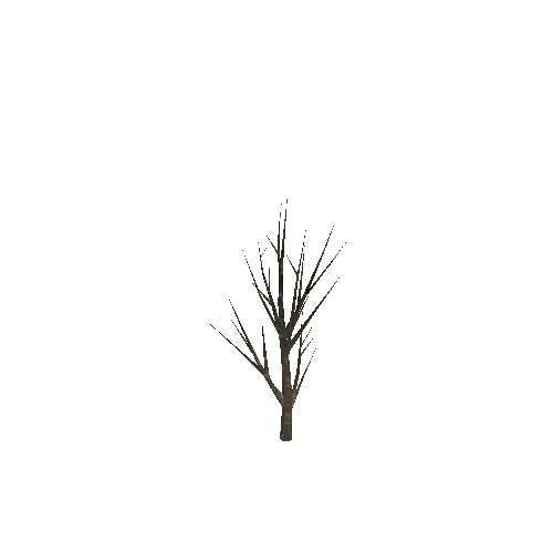 Tree11_1