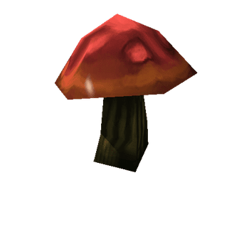 mushroom_02