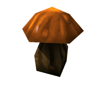 mushroom_05