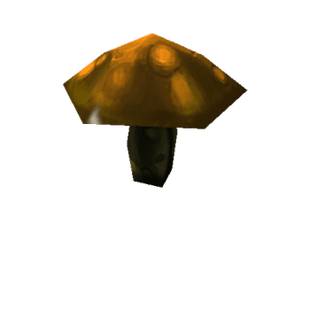 mushroom_09