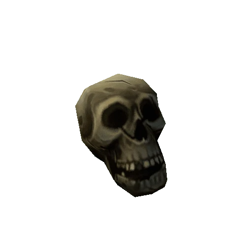 skull_04