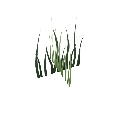 Grass1