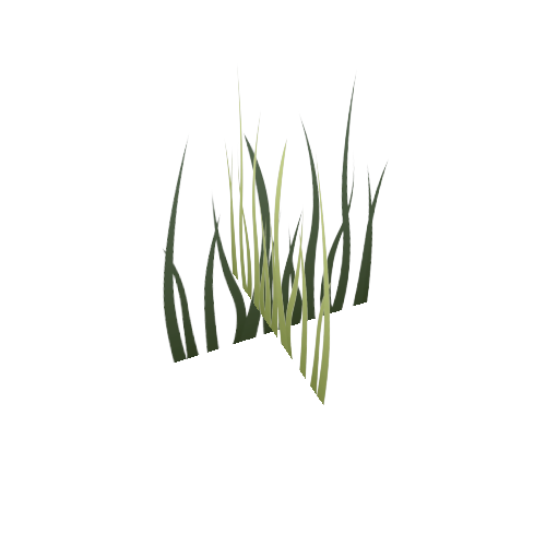 Grass2