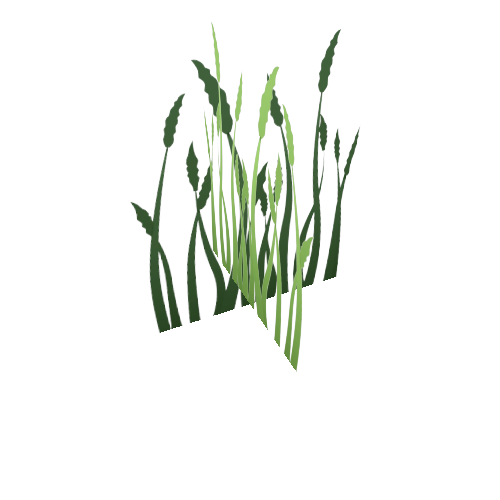 Grass3