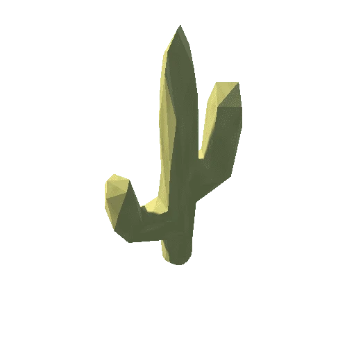 Cactus001