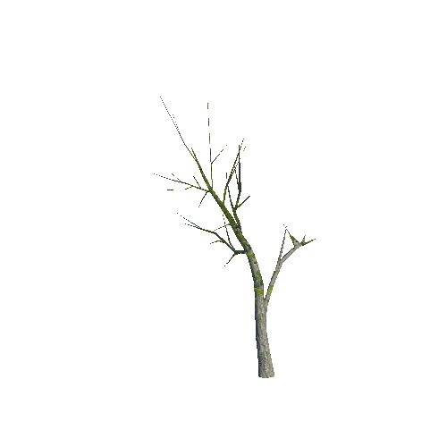 Tree_2_f