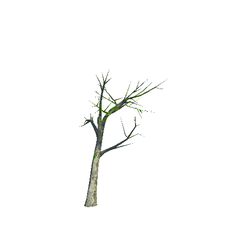 Tree_3_c