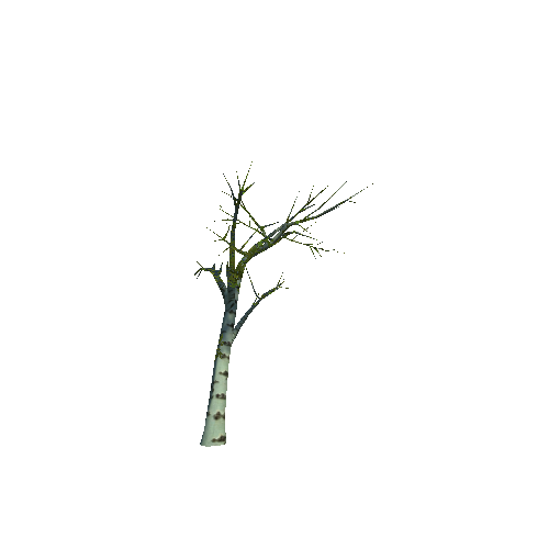 Tree_4_a