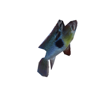 Fish_Anim_1