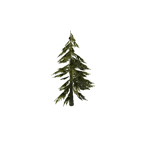 PineTree2