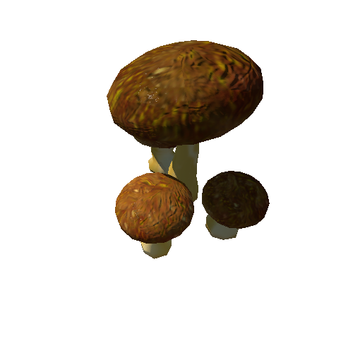 mushroom