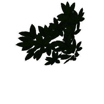 N_Bush_leaf_1_03