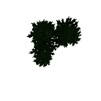 Tree_leaf2_03_01