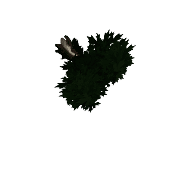 Tree_leaf2_04_01