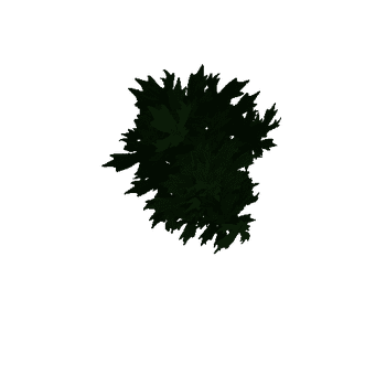 Tree_leaf2_05_01