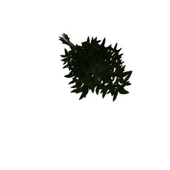 Tree_leaf3_03_01