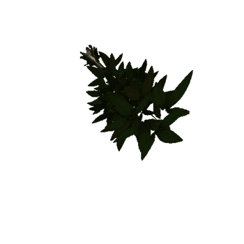 Tree_leaf3_05_01