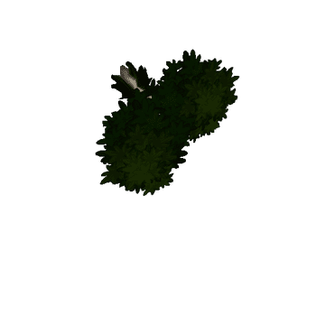 Tree_leaf6_04_01