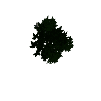 Tree_leaf_01_01