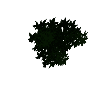 Tree_leaf_03_01