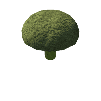 FFP_LOD_CLE_01_broccoli