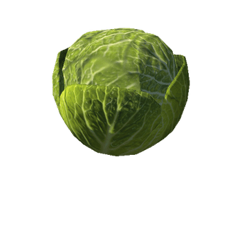 FFP_LOD_CLE_01_cabbage