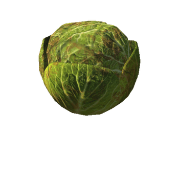 FFP_LOD_DIR_01_cabbage