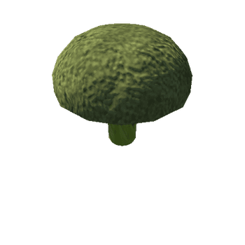 FFP_PRE_CLE_01_Broccoli_256