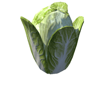 FFP_PRE_CLE_01_Lettuce_1024_1