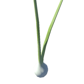 FFP_PRE_CLE_01_Spring_onion_1024_1