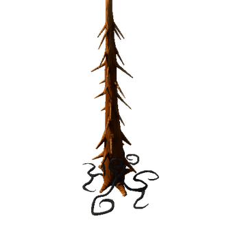 Trunk_Root_Dark_1