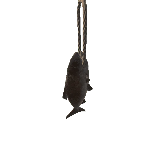 CAMP_fish_hanging_B