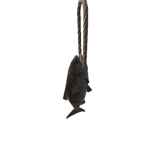 CAMP_fish_hanging_C