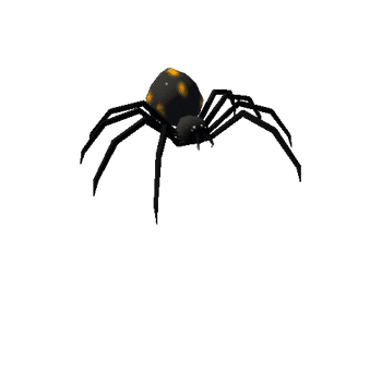 spider