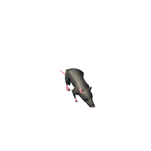 cartoon_rat_LOD2