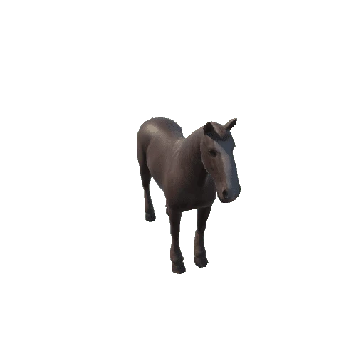 horse_anim_fbx_Prefab