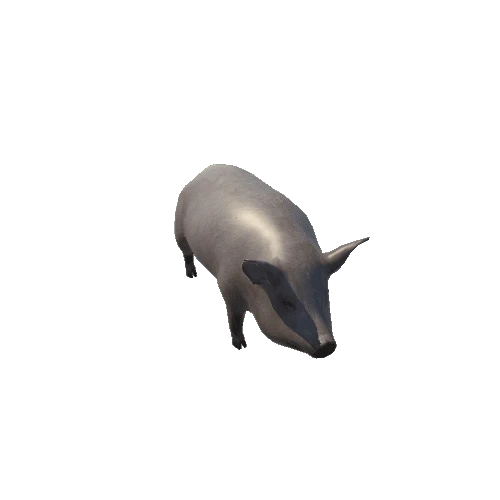 pig_anim_fbx_Prefab