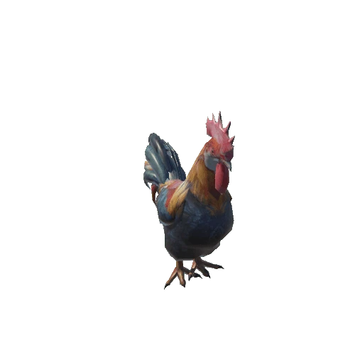 rooster_anim_fbx_Prefab