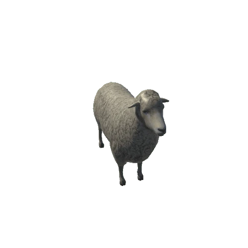 sheep_anim_fbx_Prefab