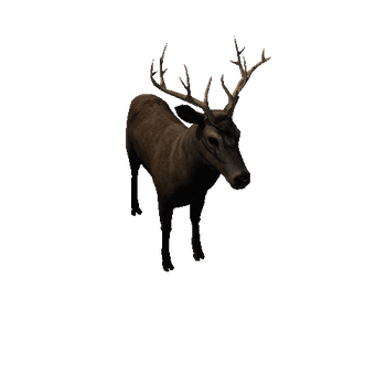 deer_anim_Prefab