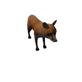 fox_anim_fbx_Prefab