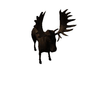 moose_anim_fbx_Prefab