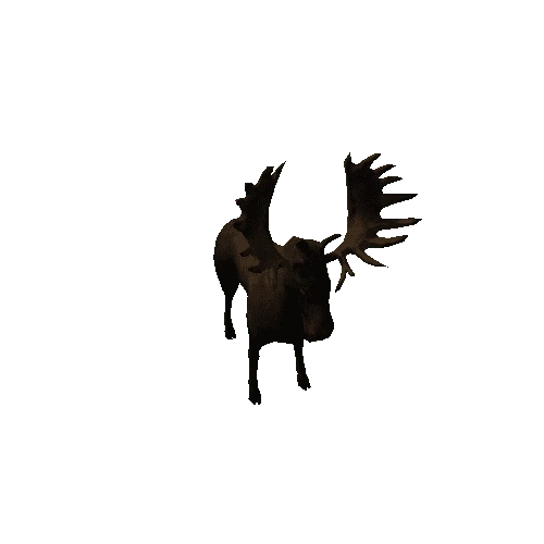 moose_anim_fbx_Prefab