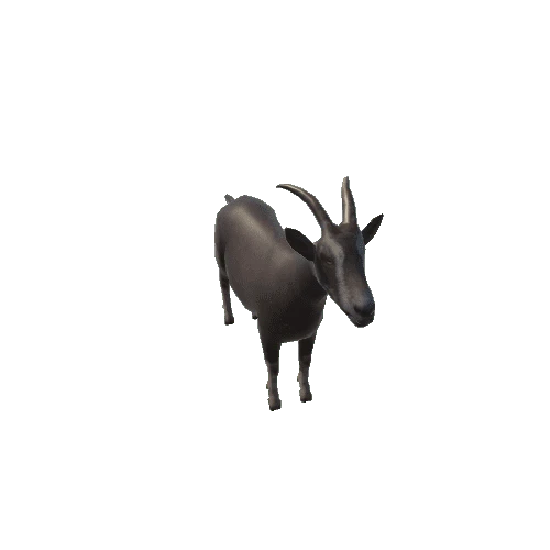 goat_anim_fbx_Prefab