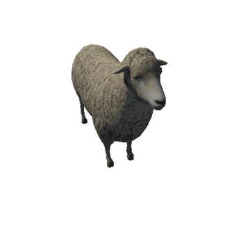 sheep_anim_fbx_Prefab