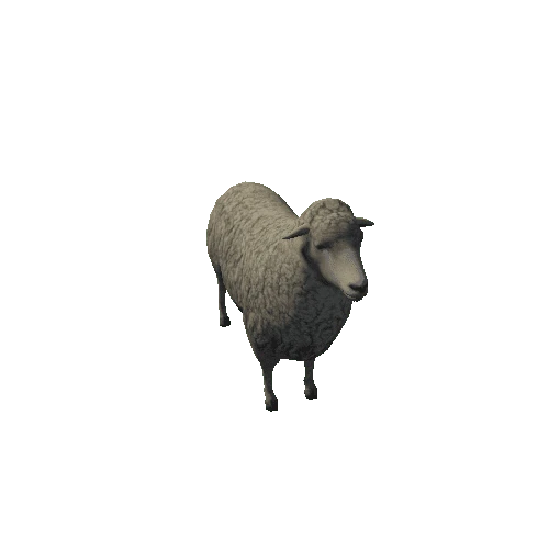 sheep_anim_fbx_Prefab