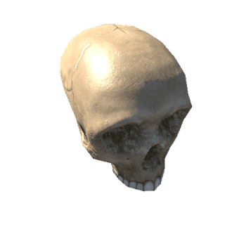 skull_dirty