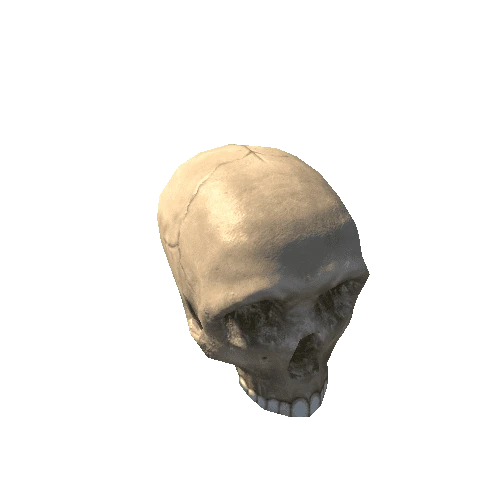 skull_dirty