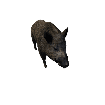 boar_anim_fbx_Prefab