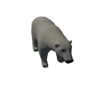 icebear_anim_Prefab